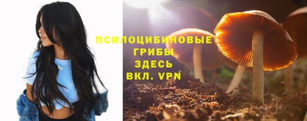 прущая мука Армянск