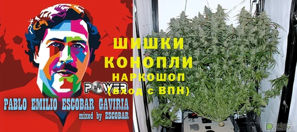прущая мука Армянск